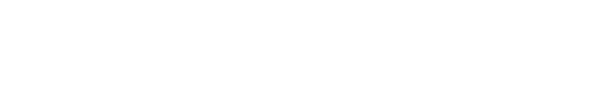 AvaTwin Chatbot