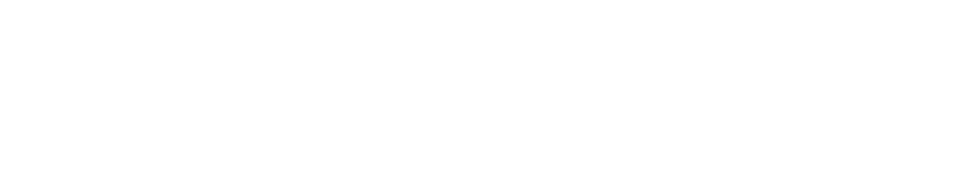 AvaTwin Chatbot